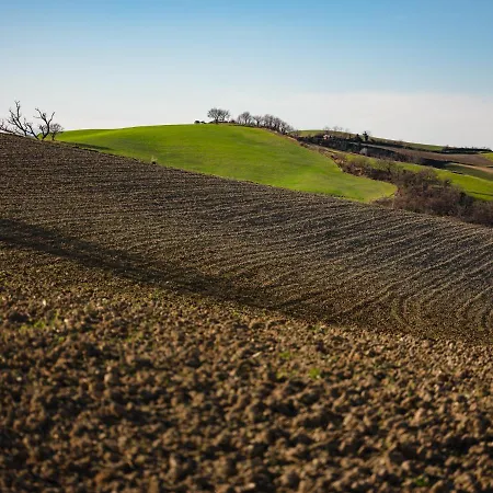 Le Radici Isola del Piano