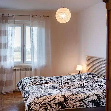 Le Radici * Isola del Piano