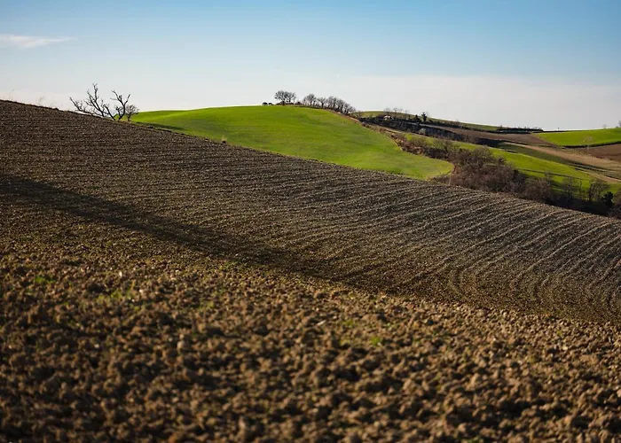 Le Radici Isola del Piano
